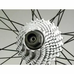 PARK TOOL BBT-5 / FR-11 Campagnolo Freewheel Remover / Bottom Bracket Tool 7 PARK TOOL BBT-5 / FR-11 Campagnolo Freewheel Remover / Bottom Bracket Tool -Fahrradausrüstung Verkäufe 600x600 64412 15549936162164